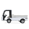 72V Powerful Electric Utility Buggy Car with Aluminum Cargo Box